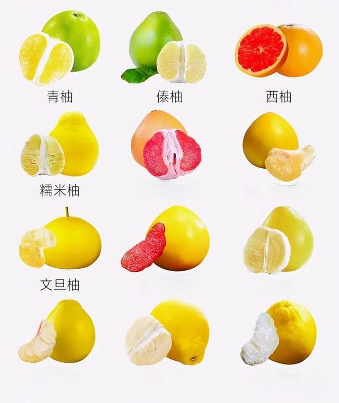 “西柚”与“柚子”，别再傻傻分不清