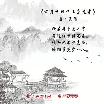 重阳节诗句古诗大全：千年文化中的诗意传承