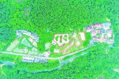 江西省九江市武宁县罗坪镇长水村：产业带动，破解治理难题
