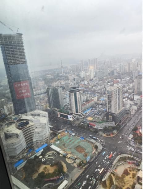 失业后的生活指南：从心态调整到职业规划的全面应对策略