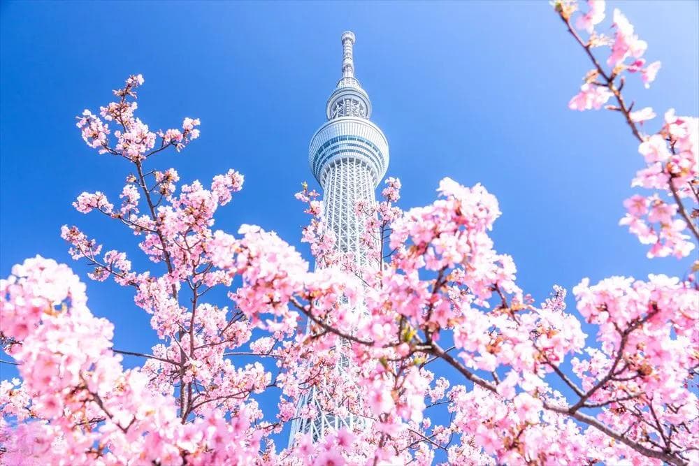 东京晴空塔攻略：观景台、交通与周边景点全解析