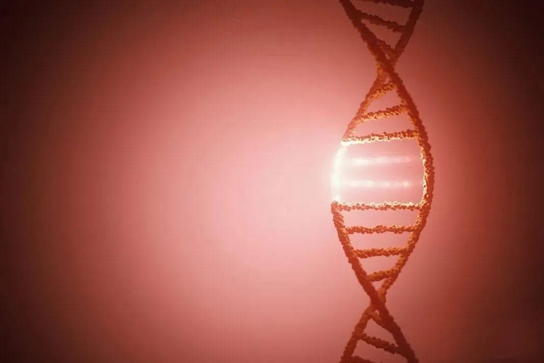 悉尼大学研发可编程纳米机器人，DNA折纸技术实现新突破