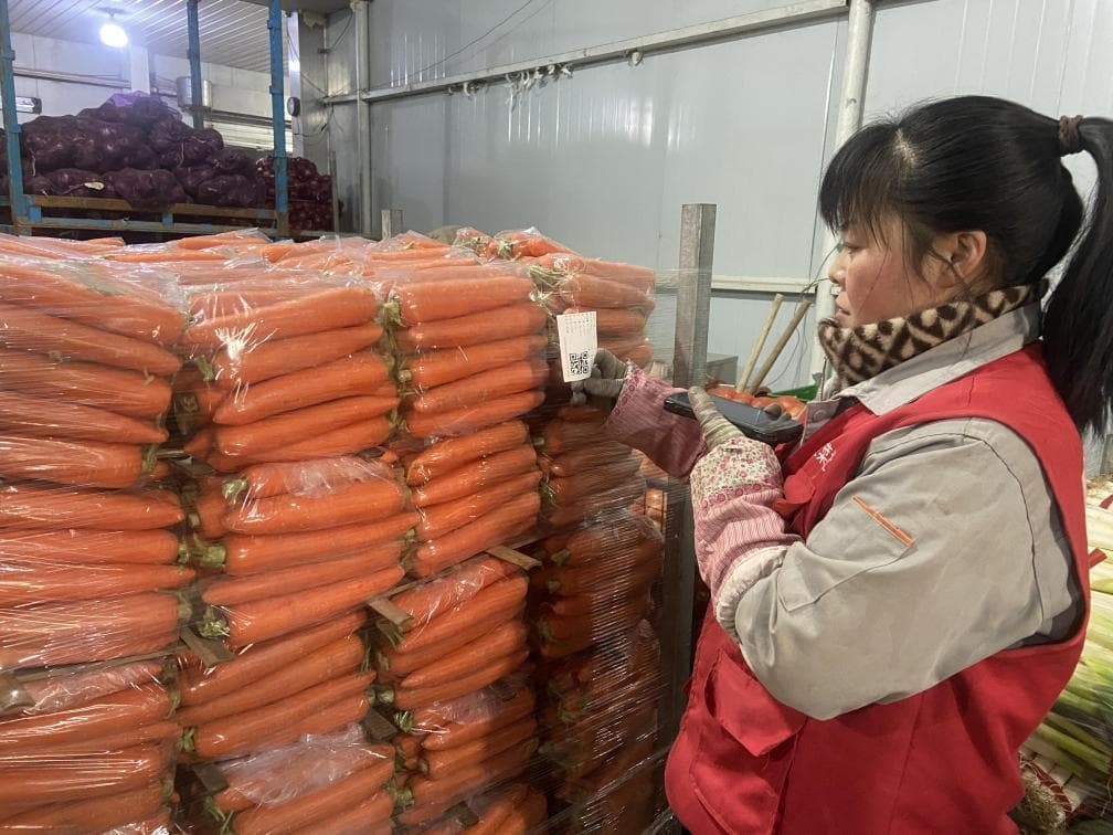 不少蔬菜水果进了垃圾桶，如何减少损耗浪费？