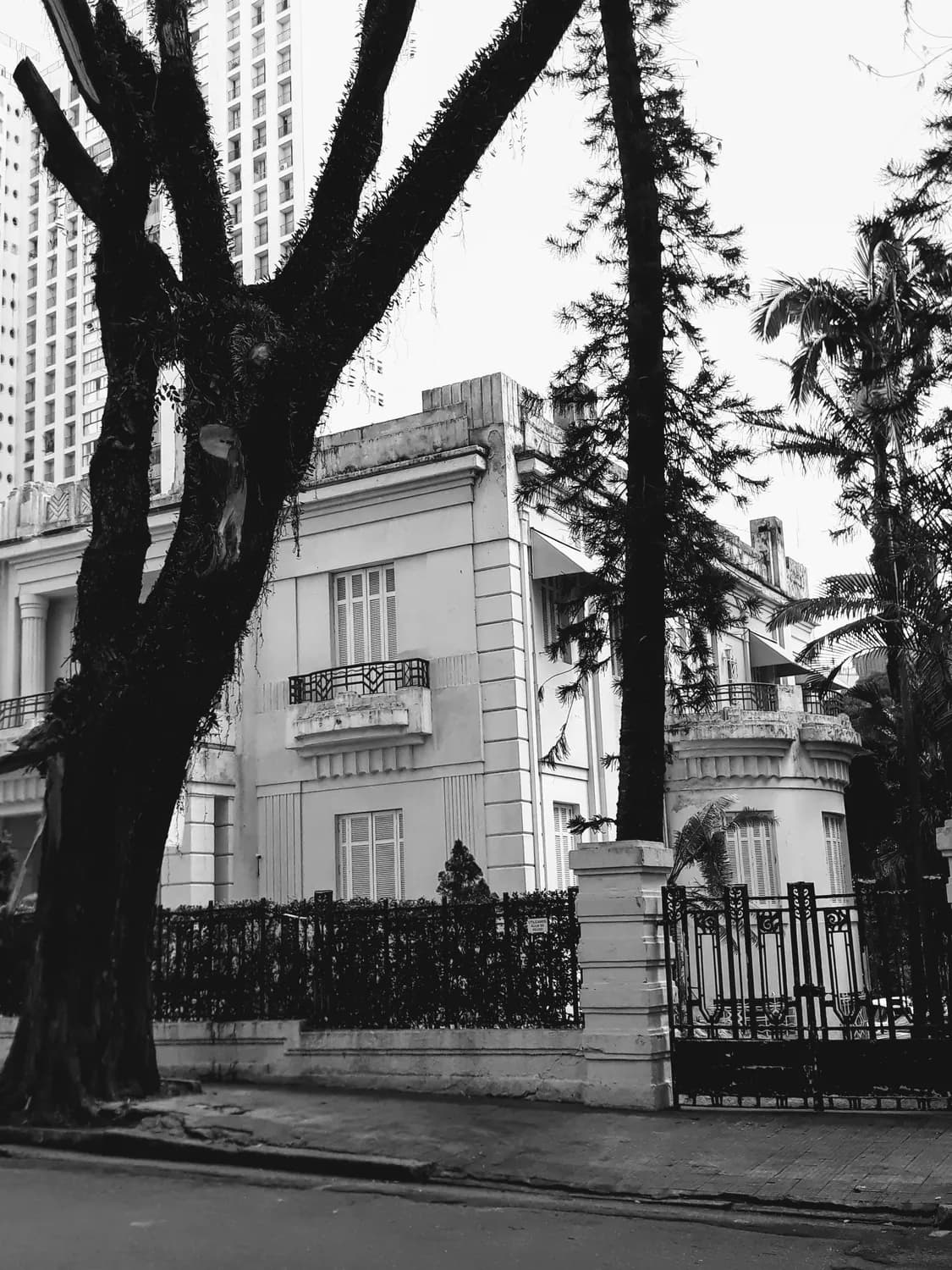 从鼎盛到流散：四大家族的民国权力兴衰史