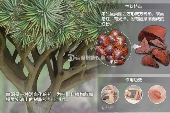 中药血竭：活血化瘀的神奇药材