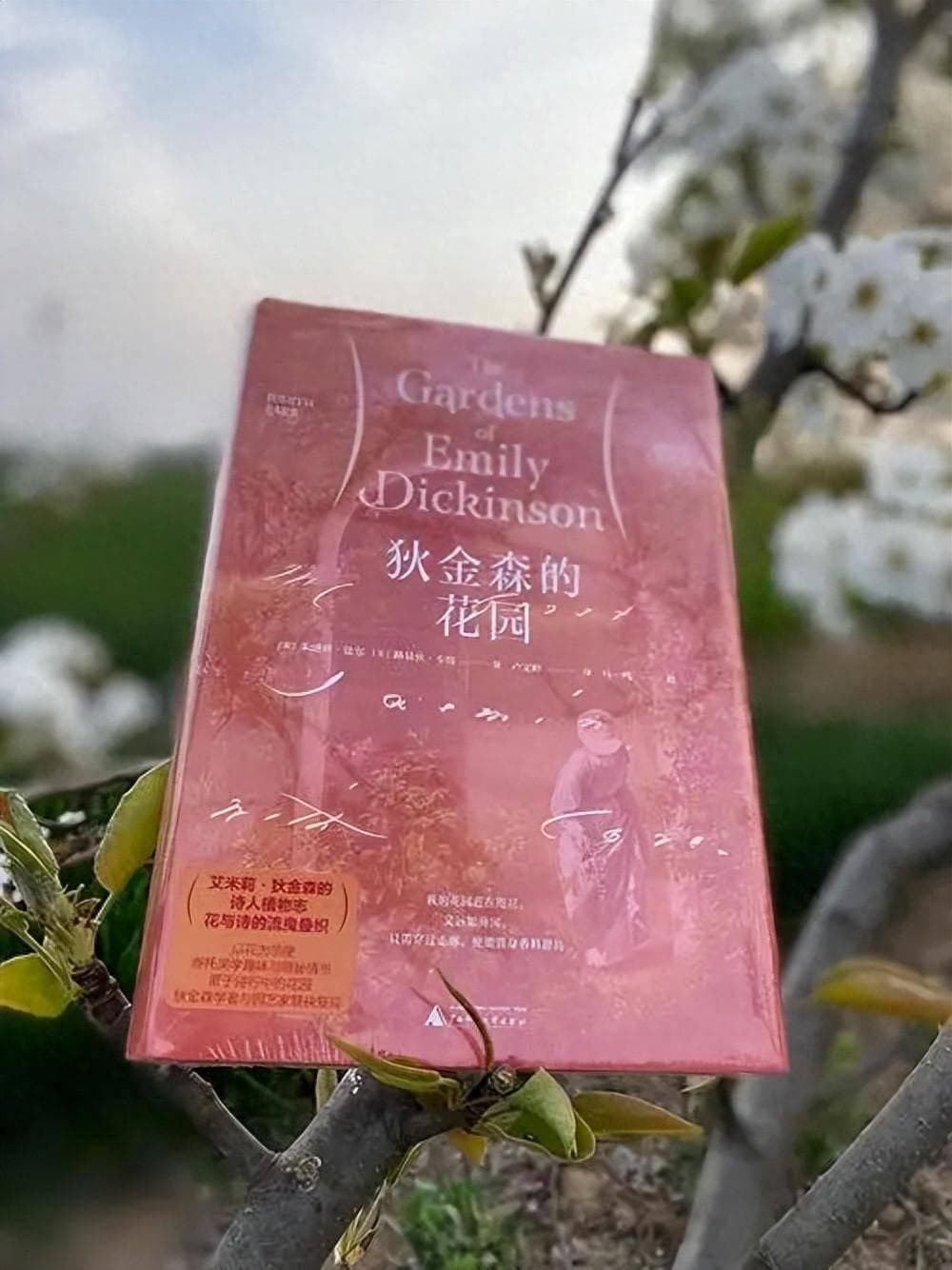 隐居30年，艾米莉·狄金森留下1800首传世诗作