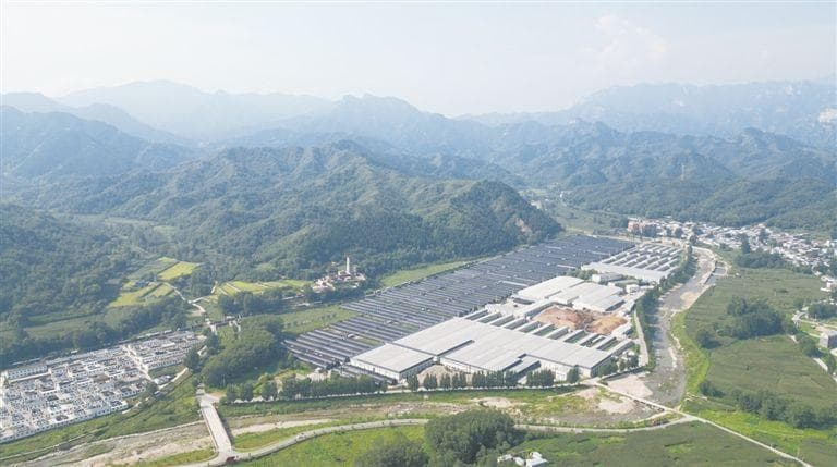 保定推进消费帮扶：特色农产品有了“放心消费”新名片