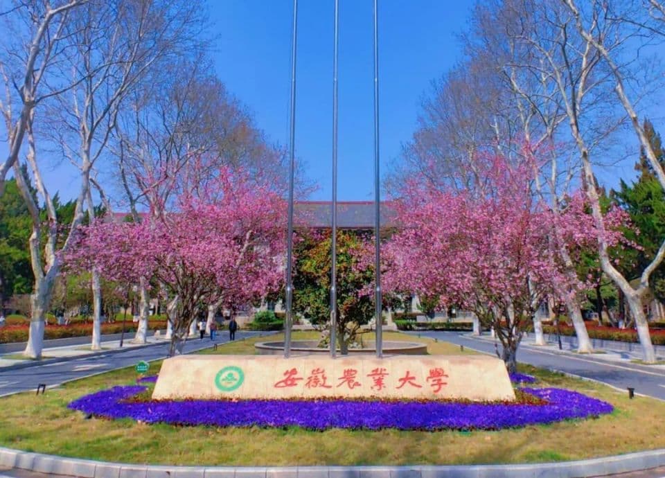 大学"夜间断网"，真的是为学生好？