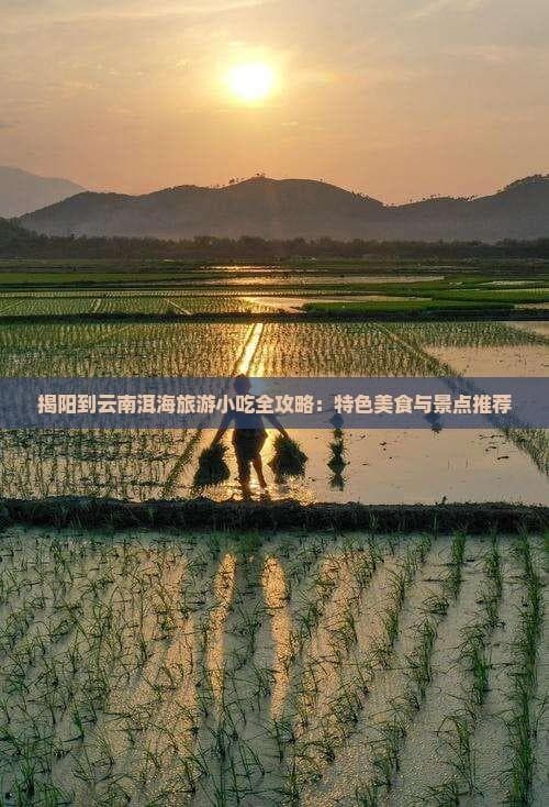从潮汕牛肉丸到洱海砂锅鱼：一场2000公里的美食之旅