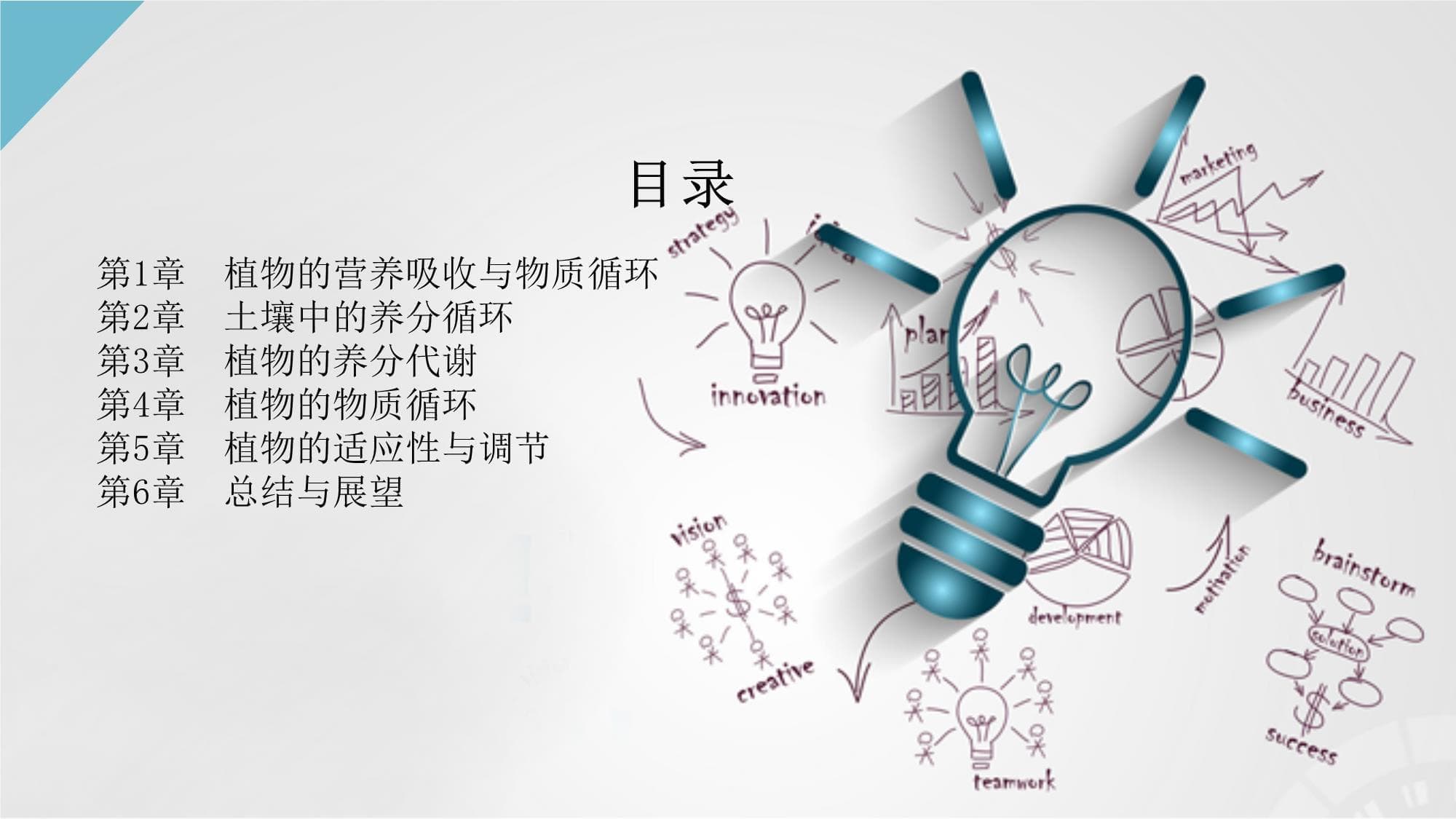 植物的营养吸收与物质循环