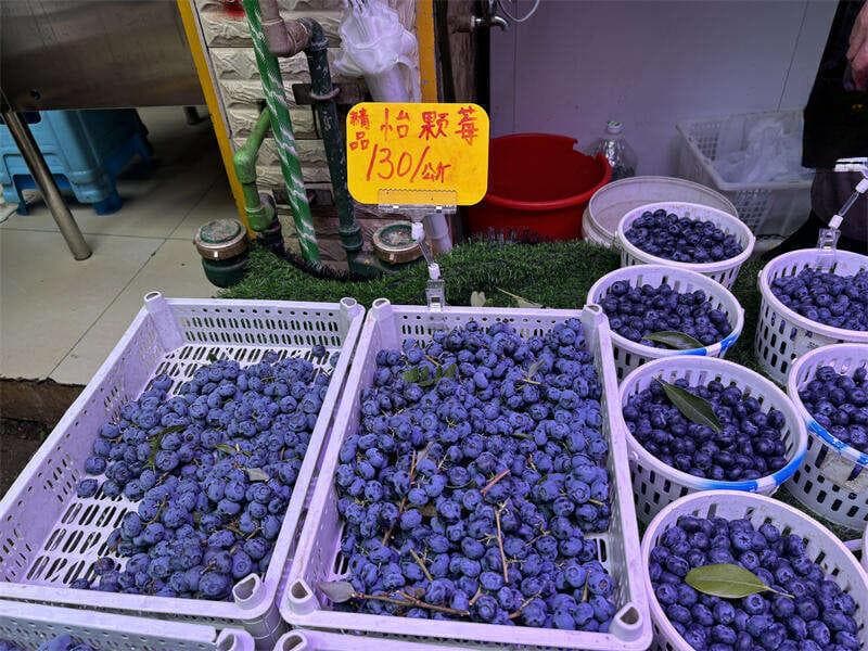 国内多地蓝莓“十元三盒” 云南蓝莓价格却微涨