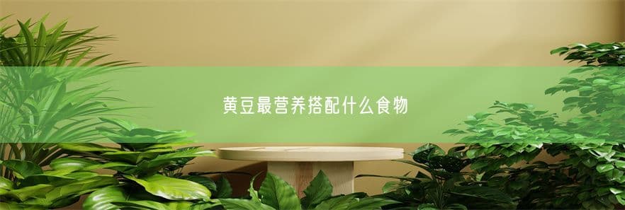 黄豆最营养的搭配食物