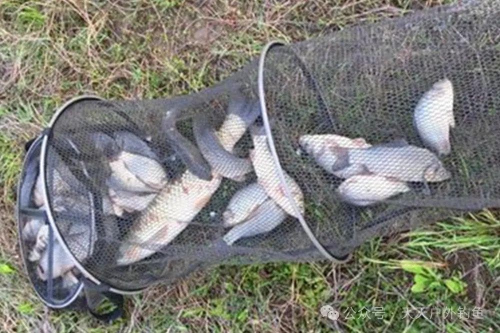 野钓刮风天，抛竿、看漂是难点，4个方法防风钓大鱼