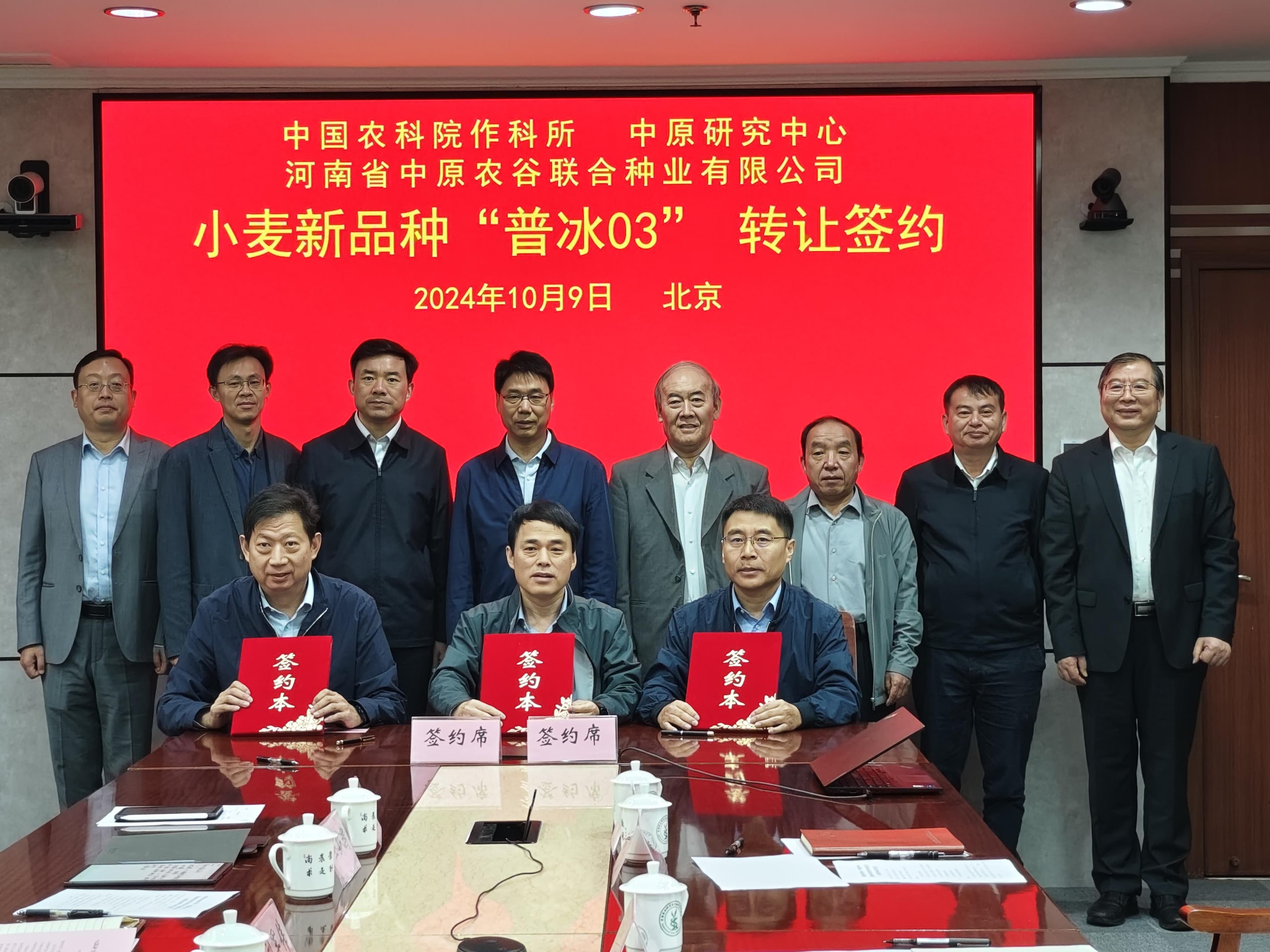 “三好”小麦远缘杂交新品种“普冰03”实现成果转化