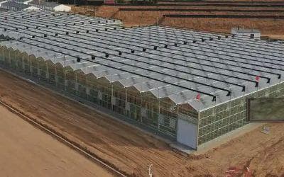 温室种植环境智能控制技术应用