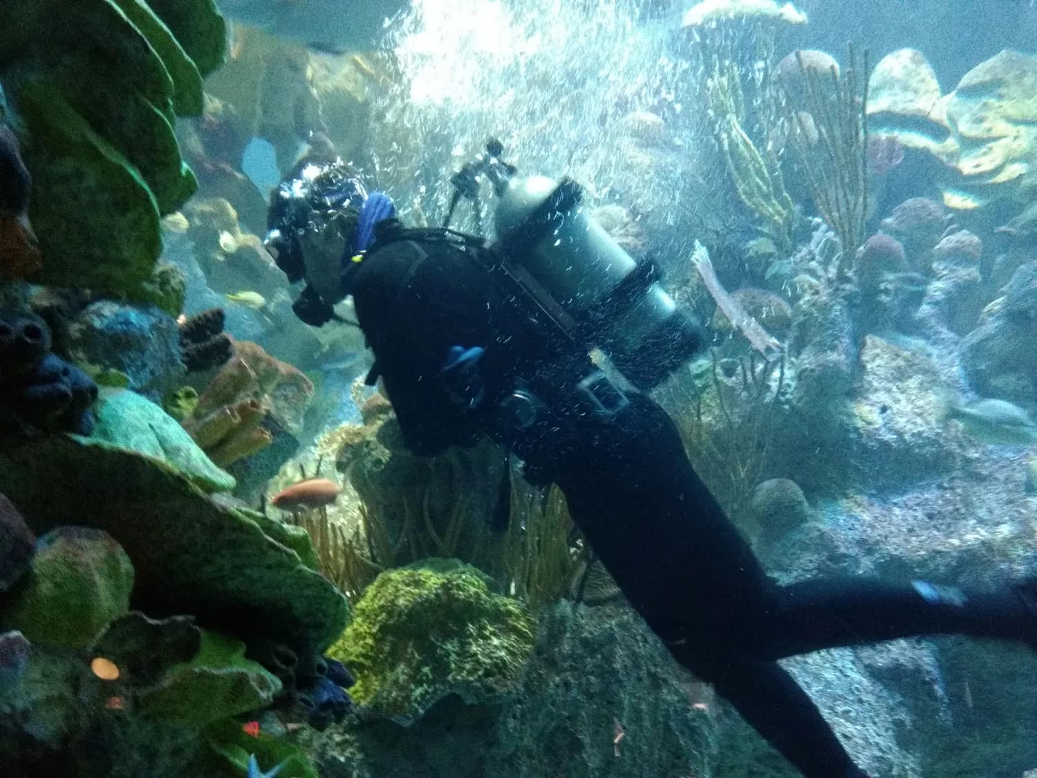 《海底两万里》沉浸式儿童剧登陆柳州，带你畅游神秘海底世界