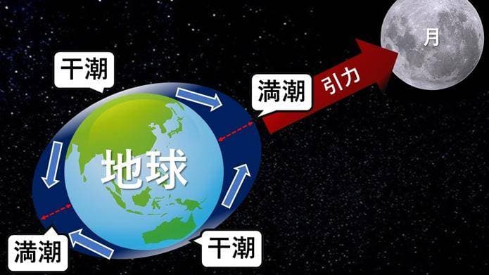 月球对地球的潮汐作用非常重要，关系着地球的生命起源和演化！