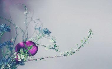 中标人不签合同怎么办？法律专家为你详细解答