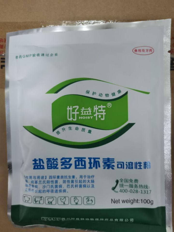 鸡呼吸道疾病反复难愈的原因及应对策略