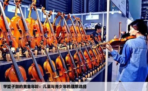 学架子鼓的最佳年龄段