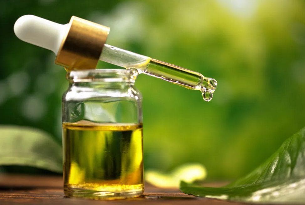 “奇迹之油”辣木油：6大功效+7种使用方法全解析
