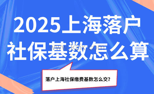 2025年上海落户社保基数详解：五种落户方式社保要求全攻略