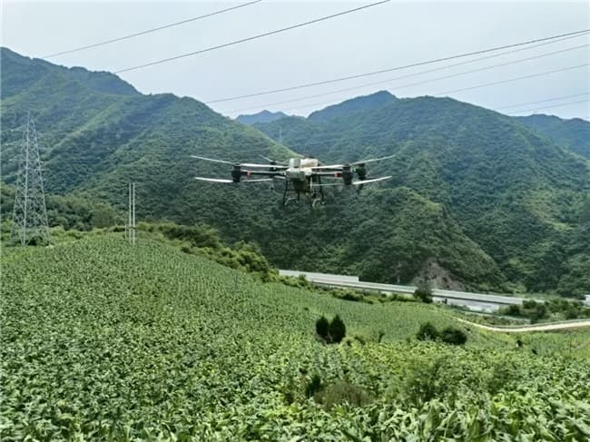植保无人机 降本增效“小精灵”