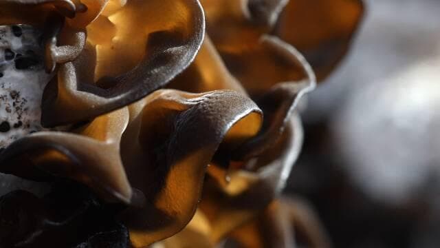 这8种食物对心脏特别好，常吃可以保持身体气血通畅，增强免疫力！