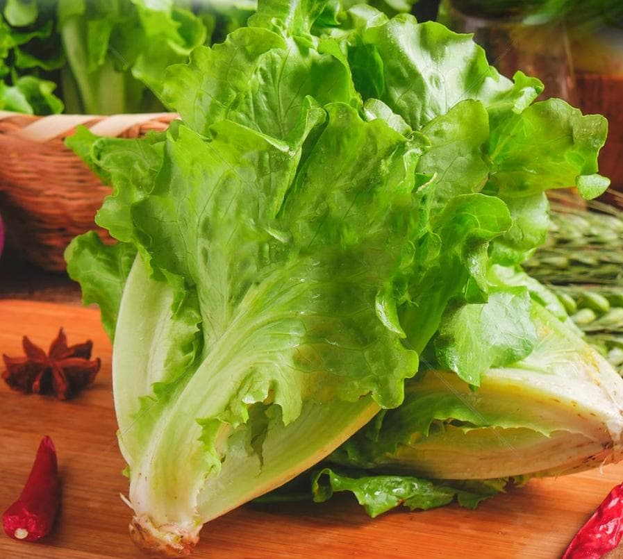 生菜的药用价值，功效与作用以及营养价值