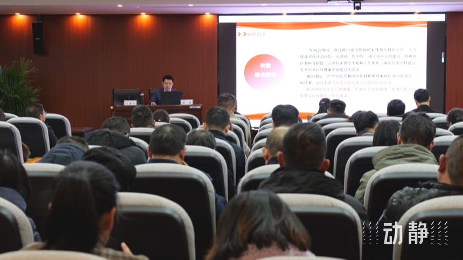 全国人大代表杨硕：培养国际化人才队伍，助力中医药“出海”