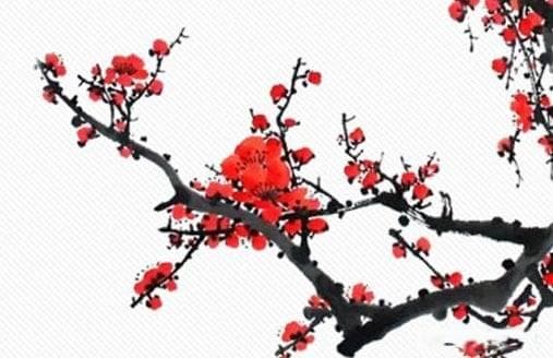 春节挂灯笼的讲究：方位、数量与习俗禁忌全解析