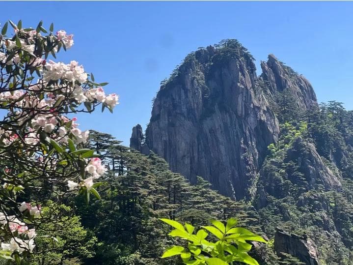 黄山哪个季节最美