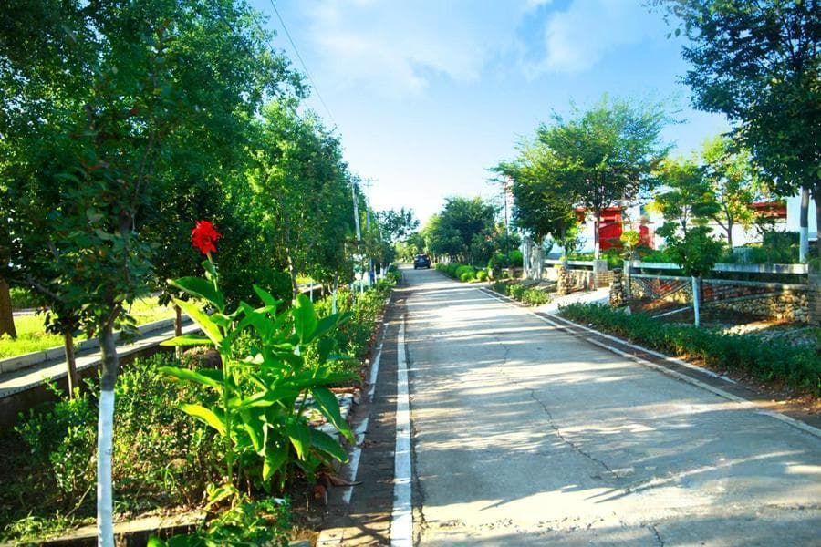 徐州新沂市：大力促进乡村振兴 瓦窑村“小田变大田”双增收