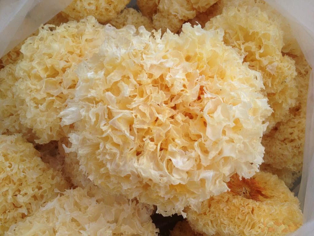 夏日的清凉，是银耳莲子羹给的！