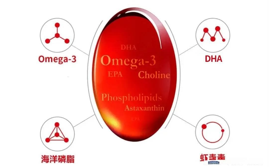 DHA的营养新视野：为大脑储备，为健康而来