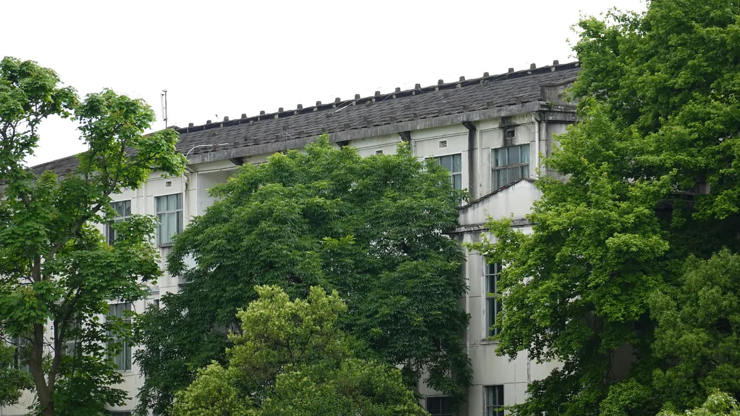 南京大学北大楼：百年沧桑见证南大精神