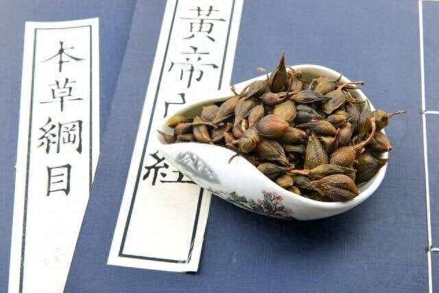 枙子何以成就清热传奇？解码中医三黄之果中的解毒护肝奇迹！