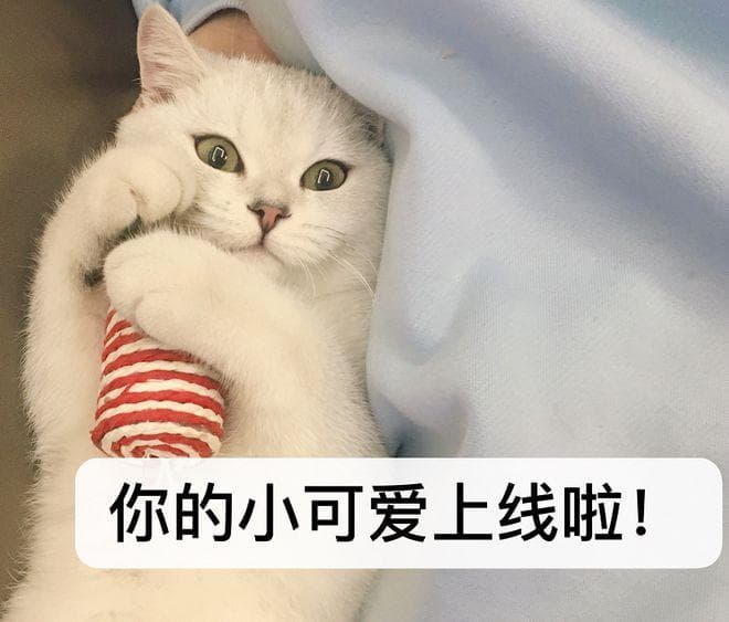 深圳秋季赏花攻略：6大花海免费打卡指南