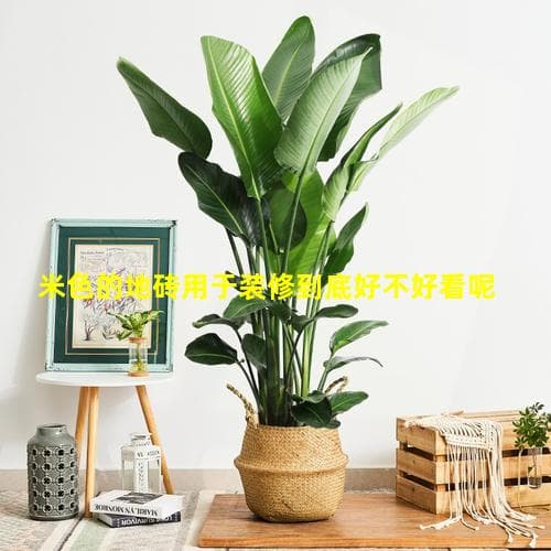 米色地砖装修指南：优缺点分析与搭配建议