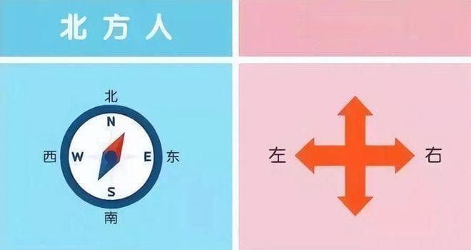南方花开早，北方多肉更出彩！