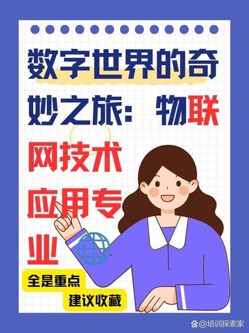 梦梦奈好感度升级全解析，探索数字背后的情感奇妙之旅