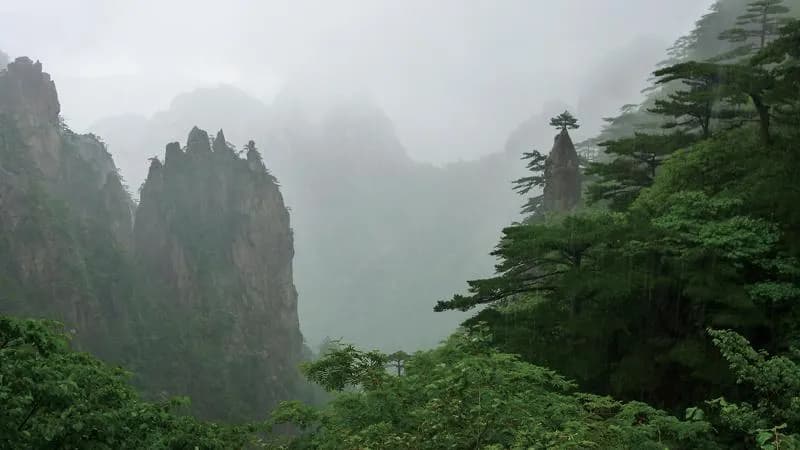 国际文件指导下的自然与文化遗产保护