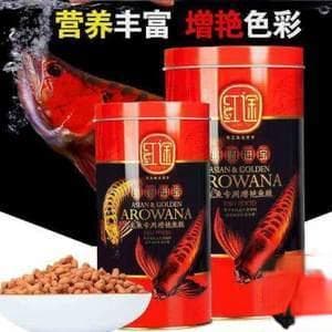 鱼缸里有水雾怎么办？全面解决方案来了