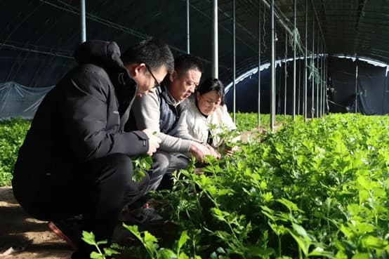 沾化区大高镇：管好“田间”守护“舌尖”，全力保障农产品质量安全