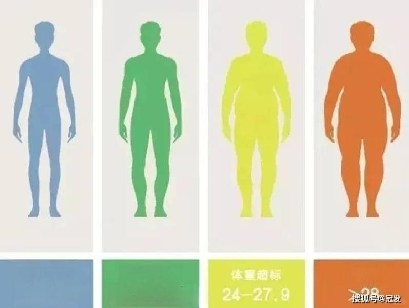 2024爱国卫生月再呼吁：国人肥胖率过半，健康减重须行动