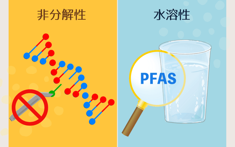 PFAS（全氟和多氟烷基物质）是什么？它们如何影响我们的生活和环境？