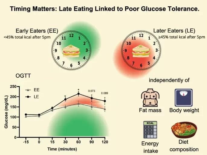 过午不食益处大！多项临床研究：过了5点不吃东西，抗衰、抗炎，且改善脂肪肝