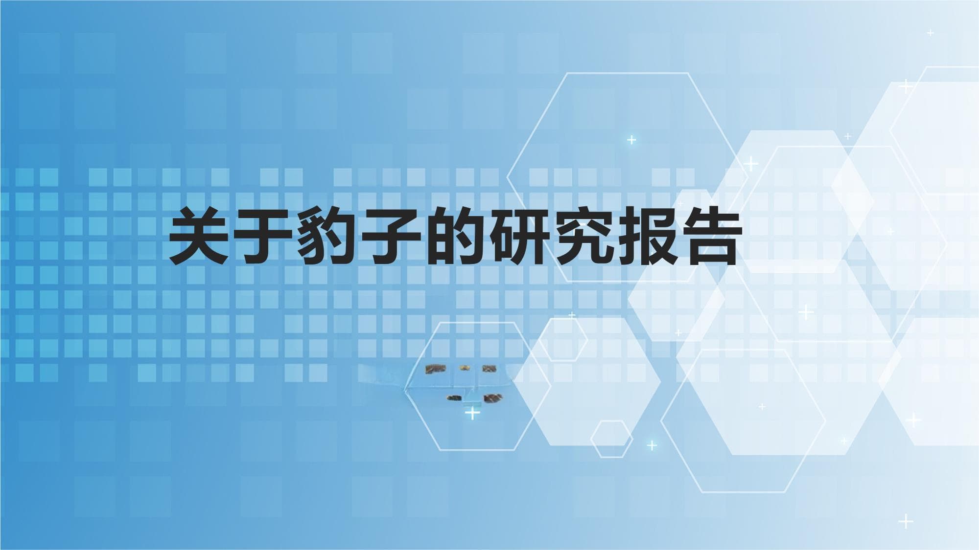 关于豹子的研究报告