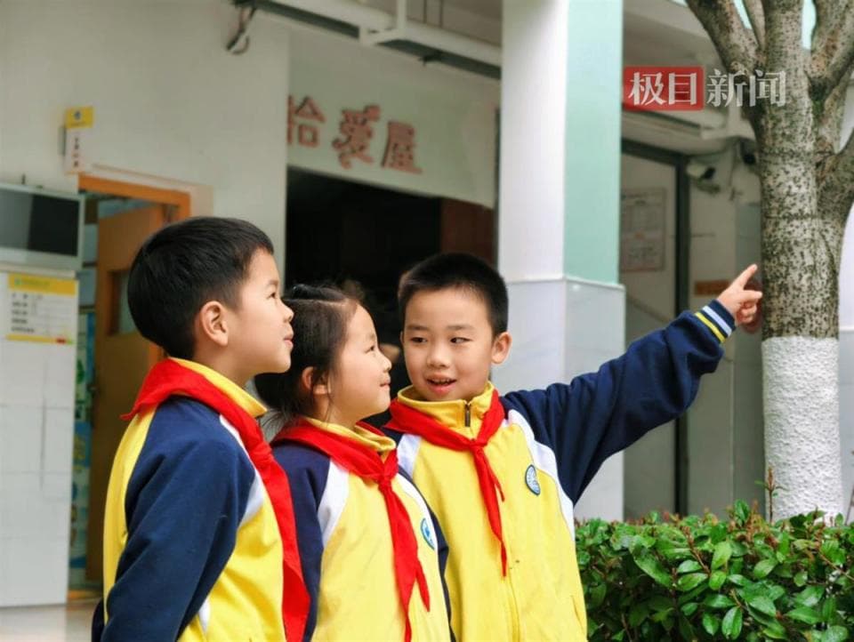 远眺护眼法、超长大课间、熄屏行动……武汉光谷二小创建全面护眼工程