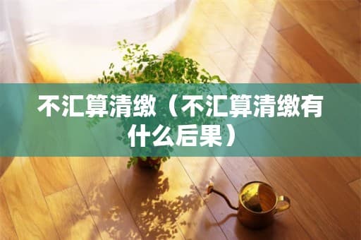 不汇算清缴（不汇算清缴有什么后果）